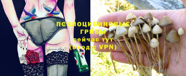 спайс Алексин