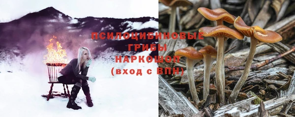 спайс Алексин