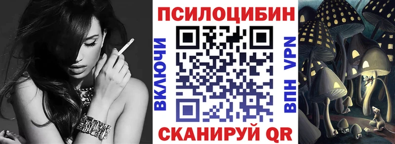 Псилоцибиновые грибы Cubensis  Новосиль 